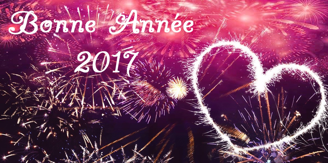 Bonne Année 2017 avec Db - Animations